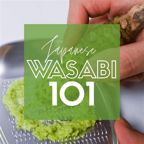 Wasabi 101 (Incl. How to Grate Wasabi Root) - Sudachi Recipes