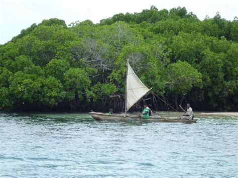 Vanuatu People 的图像结果
