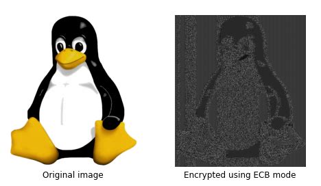 Image result for SHA256 Encryption Using ECB in Java