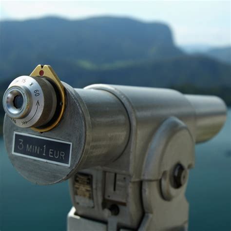 If A Tree Falls In The Forest, Does It Make A Sound? Science Has The ...