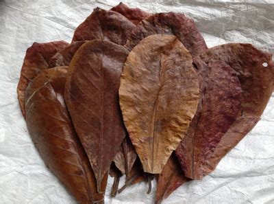 VermiKhad Vermi Compost 100% Pure natural Organic Varmi Compost khad ...