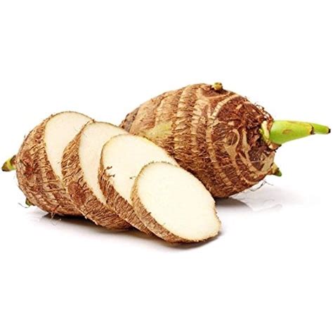 SZDYSD 5 Taro Bulbs: Green Elephant Ear Plants. Colocasia India | Ubuy