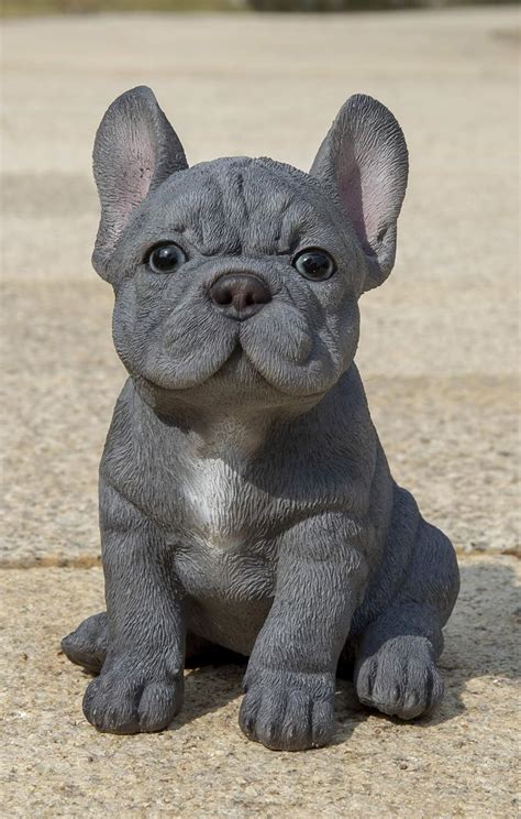Hi-Line Gift Ltd Buy Grey French Bulldog Puppy Statue Online India | Ubuy