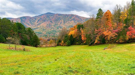 Cades Cove Group, Great Smoky Mountains National Park - Recreation.gov