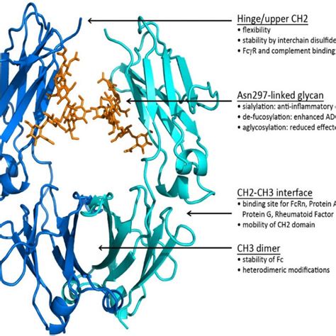 Image result for Amino Acid Post-Translational Modification