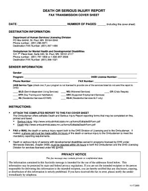 DEATH OR SERIOUS INJURY REPORT - Home Department Of Human - Dhs State ...