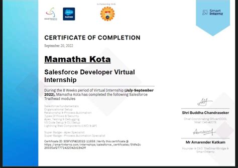 Image result for Salesforce Developer Virtual Internship