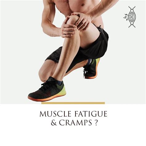 Joint Pain Nabhi Oil – Relief for Knee & Back Pain – Ved Sanjeevani