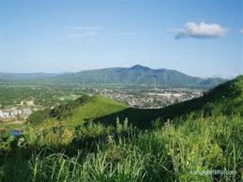 Kasu Brahmananda Reddy National Park , kurnool, India - Top Attractions ...