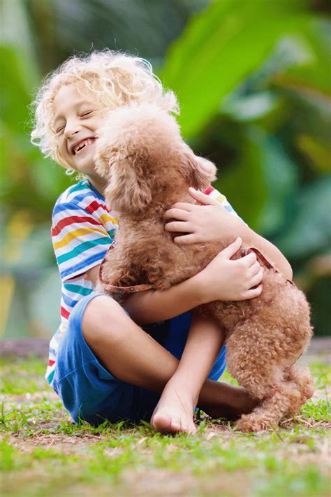 Image result for Crystallized Intelligence Psychology Example