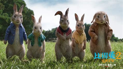 《比得兔2：逃跑计划》预售开启 萌兔天团引爆全民“吸兔”热潮|比得兔|比得兔2：逃跑计划|郭麒麟_新浪新闻