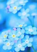 Image result for Spring Flowers and Plants List