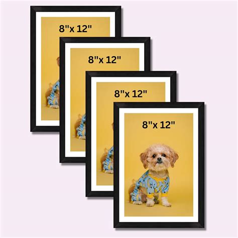 walraft 8x12 inch Picture Frames Set of 4 Black Wall Photo Frames with ...