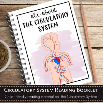 Circulatory System Bundle Pack by Pinay Homeschooler Shop | TPT
