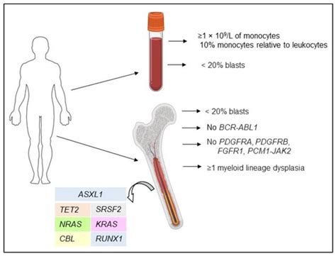 Mouse Models of CMML