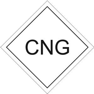 Print Experts 10.16 cm CNG stickers For Cars, Truck, Bus Etc Size-3.5X3 ...