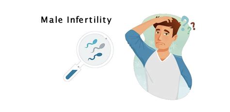 Navigating Male Infertility: Causes, Evaluation, and Solutions | Chawla ...