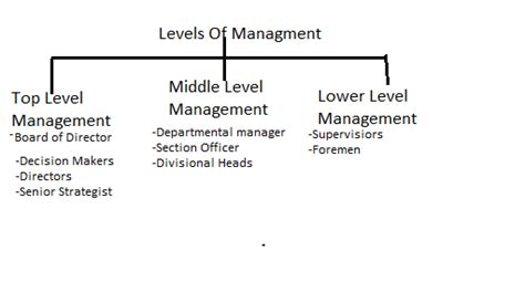 Management Level Chart 的图像结果