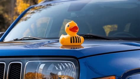 Why Do People Put Ducks on Jeeps? - Top Car Rating