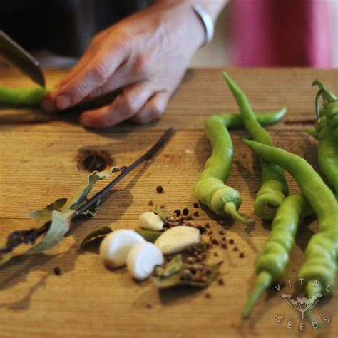 Pepper - Pepperoncini (Organic) - Vital Seeds