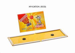 Regular Rat Glue Trap Manufacturer, Supplier from Palghar