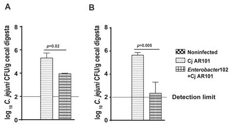 Microbiota from Specific Pathogen-Free Mice Reduces Campylobacter ...