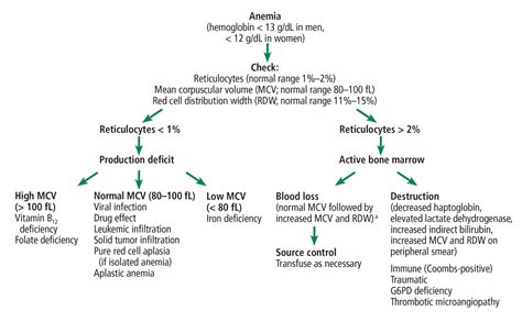 Recurrent anemia in a patient with chronic lymphocytic leukemia | Cleveland Clinic Journal of ...