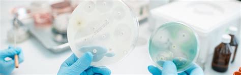 Silicone sponge captures unknown bacteria