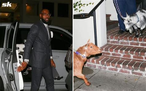 LeBron James' dinner party pictures see LA Lakers legend bring 2 live ...