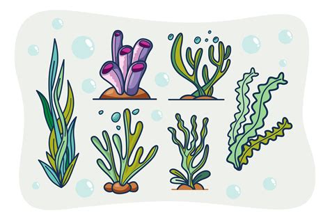 Seaweeds Sea Underwater Plants Ocean Cor Graphic by onoborgol ...