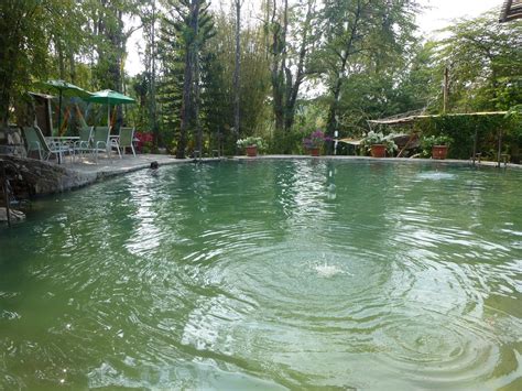 Termales Santa Teresa Pool: Pictures & Reviews - Tripadvisor