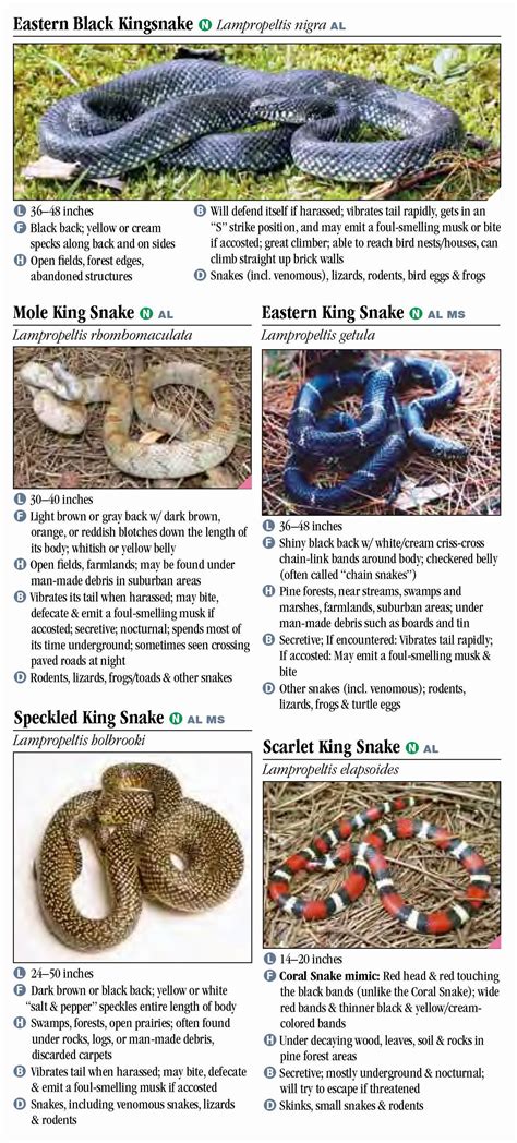 Snakes of Alabama and Mississippi - Quick Reference Publishing Retail