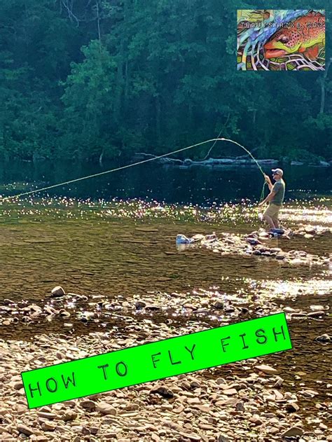 Image result for How to Fly Fish.com