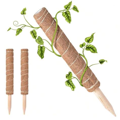 2 Unidades Tuto De Musgo, Haste De Planta Para Plantas Trepadeiras ...