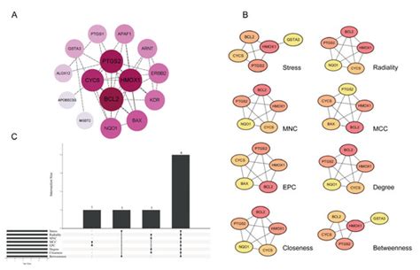 Exploring the Role of Bifenthrin in Recurrent Implantation Failure and ...