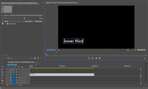 Image result for Premiere Pro Tutorials Animation