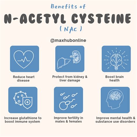 Benefits of NAC N-Acetyl cysteine - Maxhub Pharmacy