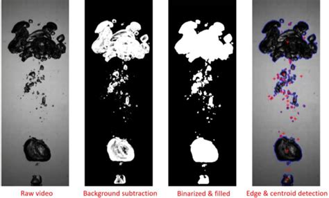 MATLAB Image Processing Tutorial 的图像结果