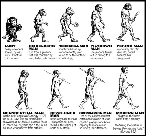Image result for Who Invented Evolution