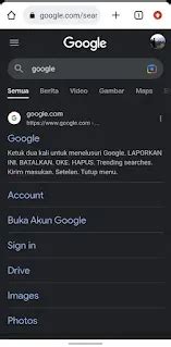 Image result for Warna Di Google Python