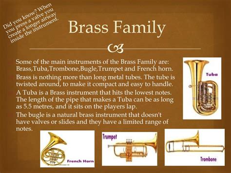 Orchestra Musical Instruments 的图像结果