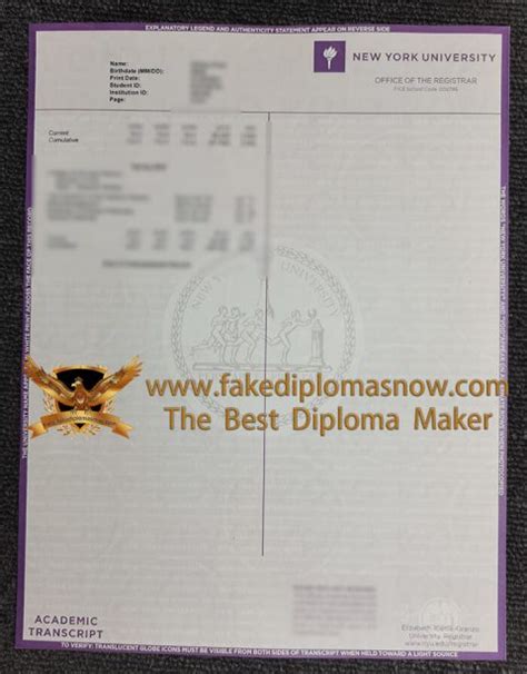 Image result for Examples of Transcript From NYU