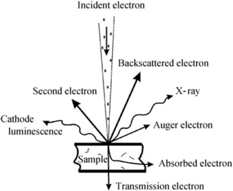 A Morphological Study of Dynamically Vulcanized Styrene-Ethylene ...