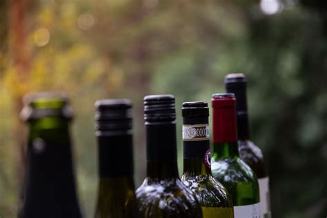 For the Wine in the Woods tasting experience we have chosen five wines ...