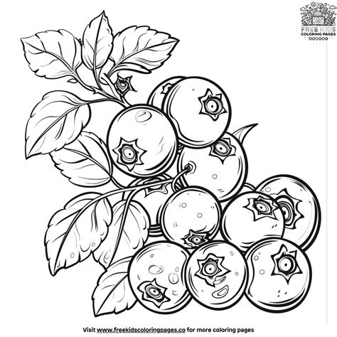 Summer Fruit Coloring Pages