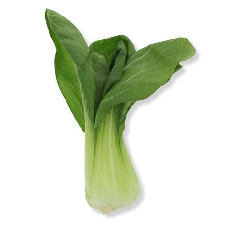 Baby Bok Choy – Shinsegaehsv