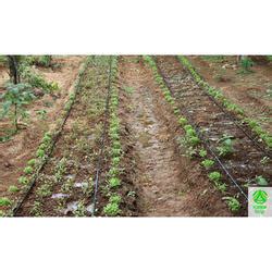 Drip Irrigation Tubes - Pepsi Irrigation Tube Manufacturer from Coimbatore