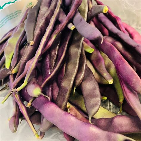 Purple Green Beans from Sobre Mesa Farm Organics - Vegan Product ...