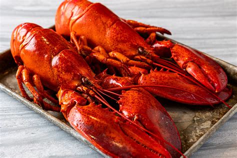 Live Gulf of Maine Lobsters - Legal Sea Foods Online