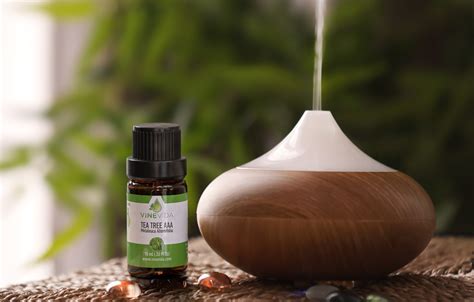 Image result for Humidifier with Essential Oils